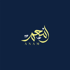 Creative Arabic Calligraphy Vector Logo Design Name Anam