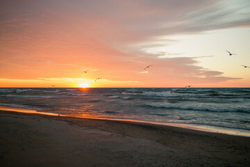 sunset on the beach with seagulls