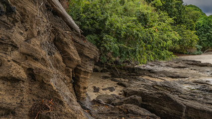 Boulders were exposed at low tide in the ocean. The layered structure of the rocks is visible. Lush...