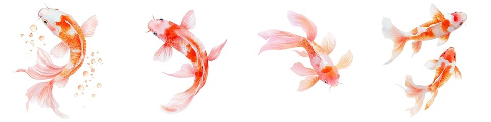 Fototapeta premium Chinese New Year Elegant goldfish swimming gracefully in an aquatic environment, showcasing colorful fins and a serene underwater ambiance.