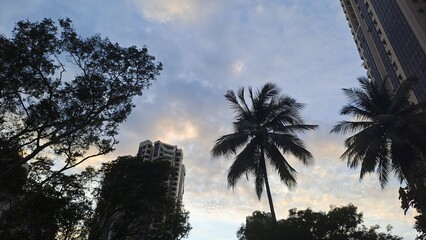 Blue Morning Sky In Singapore
