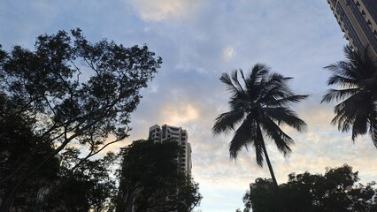 Blue Morning Sky In Singapore