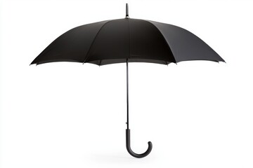 A classic black umbrella with a curved handle