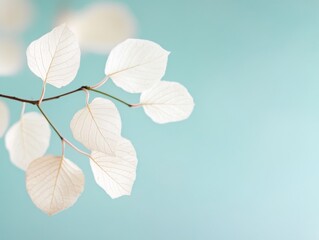 Minimalist White Leaves on Blue Background - Ethereal Natural Aesthetic