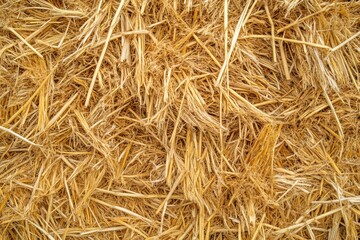 Golden, dry straw texture background. Ideal for rustic, agricultural, or autumn themes.