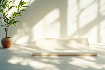 Constitution Day (Taiwan) - Celebrating Governance and Tradition with Serenity Also Suitable for Labor Day and Independence Day Concepts