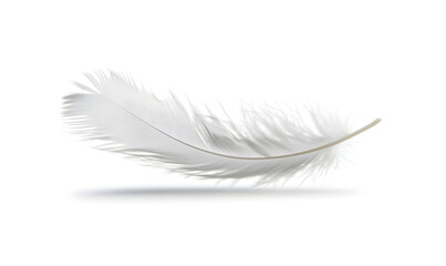 Obraz premium A delicate white feather gently floating against a light background.