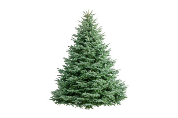 Fototapeta premium Decorative evergreen tree display for holidays indoor setting nature viewpoint greenery concept