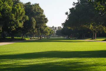 A park with a large grassy field and trees