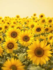 Obraz premium Field of tall golden sunflowers with dark centers and a sense of movement, landscape, sunflowers, flowers, botanical, dynamic