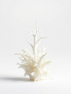 Pile of white dammar resin from Vateria indica tree on white background,  botanical image.,  forest resin,  white background,  tree resin