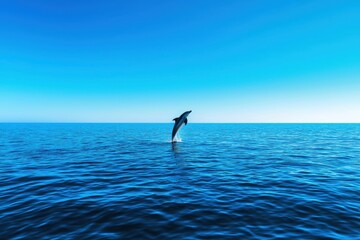 Obraz premium A dolphin leaps gracefully above the tranquil blue sea, showcasing the beauty of marine life against a clear sky.