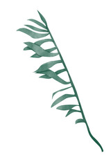 Obraz premium Watercolor Palm Green Leaf Side View Single Illustration for Print and Web