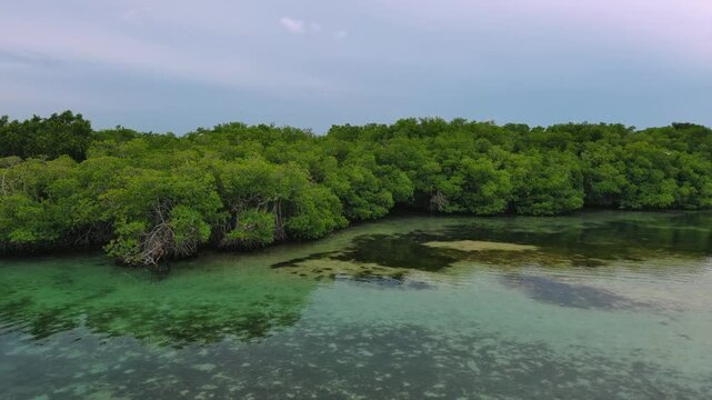 La Matica islet, mangrove forest, Playa Boca Chica beach, Caucedo port in background, Santo Domingo in Dominican Republic. Aerial drone ascending, sky for copy space