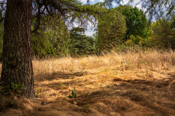 Dryness and aridity in summer in the south of France .