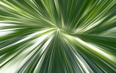 Obraz premium 緑の葉が放つ美しい光のダイナミクスを感じる瞬間