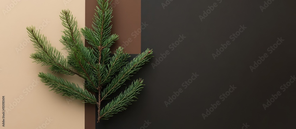 Aufkleber minimalist new year's arrangement with green christmas tree branches against color block background 