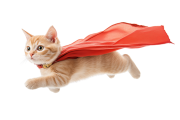 Superhero cat flying, isolated on transparent background.