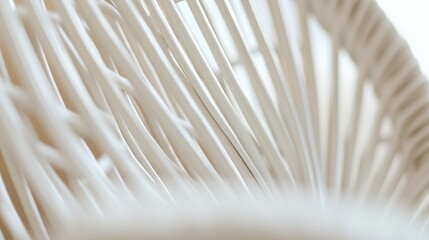 Close up of white faux rattan chair lines with a soft blurred background highlighting the intricate weaving pattern and design details.