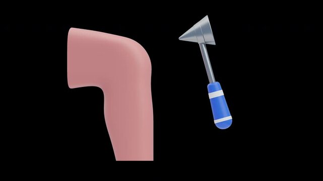 3D Animation of Human Reflex Mechanism | Alpha Channel