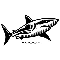 Obraz premium Shark sketch silhouette