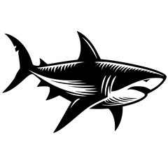 Obraz premium Shark sketch silhouette