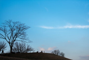 언덕의 정상에서 쉬다