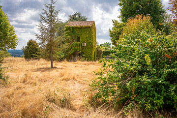 Dryness and aridity in summer in the south of France .