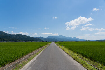 水田と田舎道