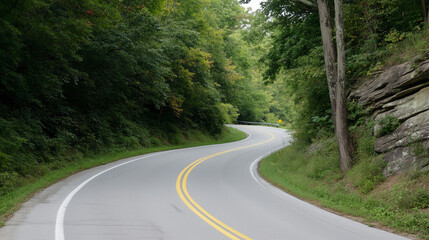 Fototapeta premium road in the forest