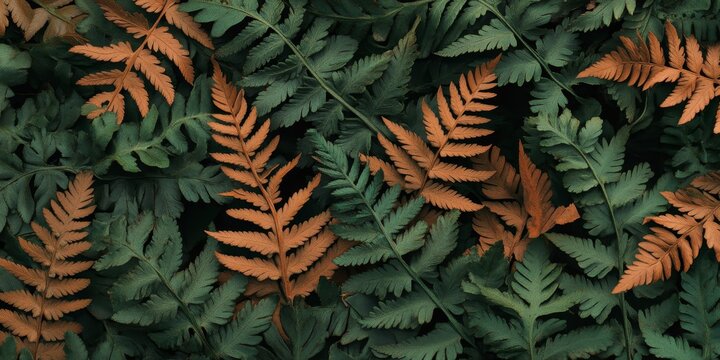 Texture of the drynaria fern showcases its ornamental qualities, featuring drying broad leaves that highlight the unique texture of the drynaria plant, perfect for various botanical themes.