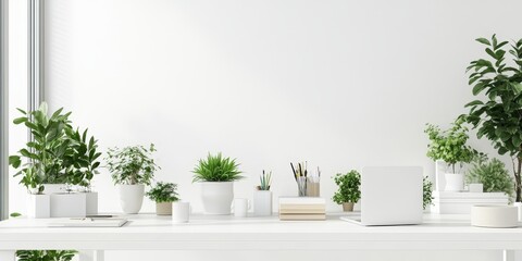Bright white office interior featuring various plants and stationery products, enhancing the relaxing work environment created by the bright white office design and decor.