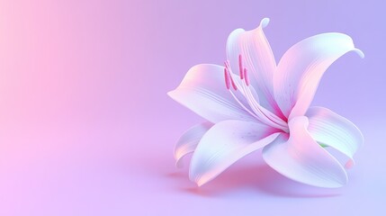 Fototapeta premium A delicate lily flower with soft pastel colors against a gradient background.