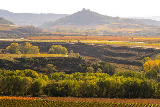 An aerial view of a majestic castle set against a backdrop of golden vineyards, capturing the beauty of nature harmonized with historic architecture in the autumn season in La Rioja Spain