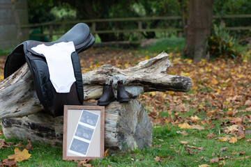 pregnancy announcement in the country, Image shows a blank white baby suit on a horse saddle with baby scan images and boots on a tree stump in autumn with fallen golden leaves surrounding 
