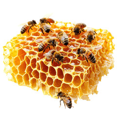 A honeycomb structure with bees, showcasing honey production and pollination.