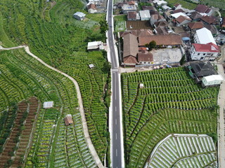 THE BEAUTY OF THE RURAL AND VEGETABLE AND FRUIT PLANTATIONS AT THE FOOT OF MOUNT SINDORO TEMANGGUNG...