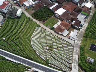 THE BEAUTY OF THE RURAL AND VEGETABLE AND FRUIT PLANTATIONS AT THE FOOT OF MOUNT SINDORO TEMANGGUNG...