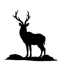 Fototapeta premium Elegant kudu silhouette standing on rocks, nature symbolism