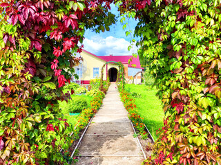 A picturesque garden pathway with vibrant ivy arching over a stone walkway leading to a charming...
