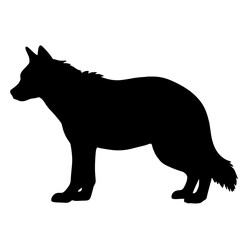 Obraz premium Silhouette of hyena standing on white background, minimalist design