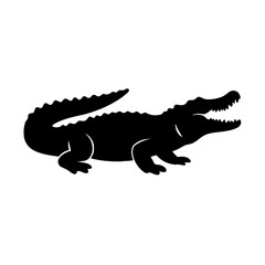 Fototapeta premium Silhouette of crocodile on white background, nature symbolism