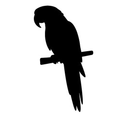Fototapeta premium Silhouette of a parrot perched on a branch, black and white design