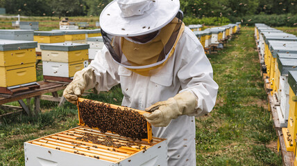 A farmer inspecting a beehive on a honey farm