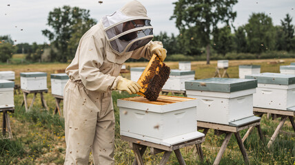 A farmer inspecting a beehive on a honey farm