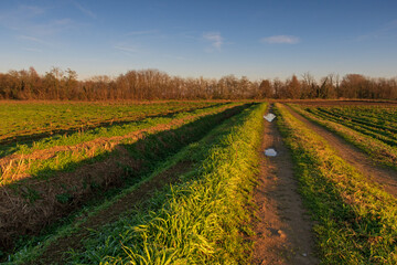 Po Valley fields field landscape panorama