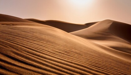 Sunset over the sand dunes in a desert landscape with golden hues in the Sahara
