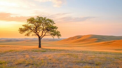 Fototapeta premium The fiery orange and pink hues of the sunset cascade over the undulating hills, casting a warm glow on the lone tree standing tall amidst the vast expanse of land.