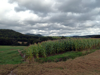 Obraz premium Aussicht von Feldweg in Steinbach, einem Ortsteil von Lebach, im Landkreis Saarlouis im Saarland in Richtung Wortsegel in Sotzweiler und in Richtung Schaumberg in der Gemeinde Tholey. 