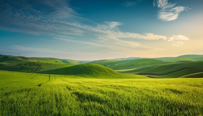 Fototapeta premium A peaceful countryside landscape with a wheat field, blue sky, and distant hills, capturing the essence of nature in summer